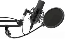 Микрофон Ritmix RDM-169,  черный