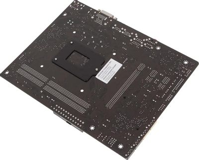Asus h81ma shop