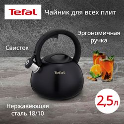 Металлический чайник Tefal N4180417,  2.5л