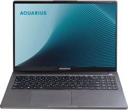Изображение товара Ноутбук AQUARIUS Cmp NE356, 16", IPS, AMD Ryzen 5 6600H 3.3ГГц, 6-ядерный, 8ГБ DDR5, 256ГБ SSD,  AMD Radeon  660M, без операционной системы,  серый [ne356153318s125scn2tnnnnn2]