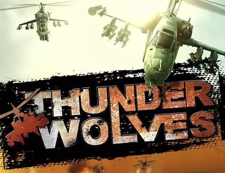 Игра HANDYGAMES Thunder Wolves, для ПК, регион: Россия,СНГ, RUS (интерфейс и субтитры)