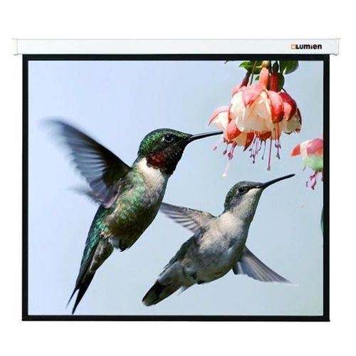Экран Lumien Master Picture LMP-100117, 280х202 см, 16:9, настенно-потолочный
