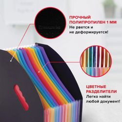 Лоток вертикальный BRAUBERG Docs 271153, для бумаг, 320x255x25, полипропилен, черный
