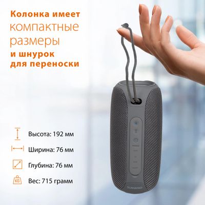 Колонка портативная SunWind SW-PS106, 10Вт, черный – купить в Ситилинк ...