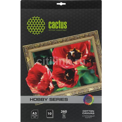 Холст Cactus CS-CA326010 A3/300г/м2/10л./белый для струйной печати