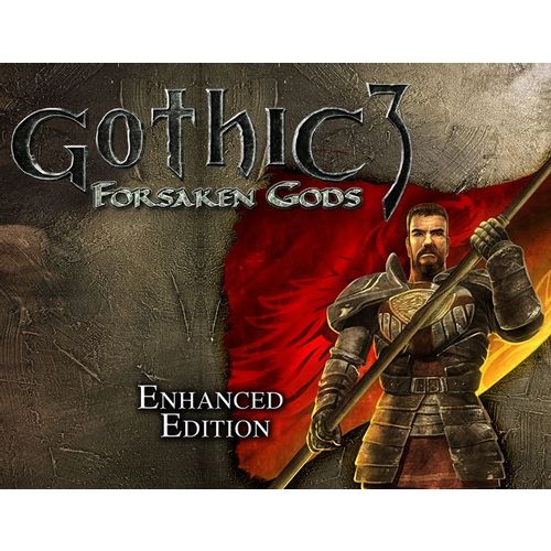Игра THQ NORDIC Gothic 3: Forsaken Gods Enhanced Edition, для ПК, регион: Россия,СНГ, RUS (интерфейс)