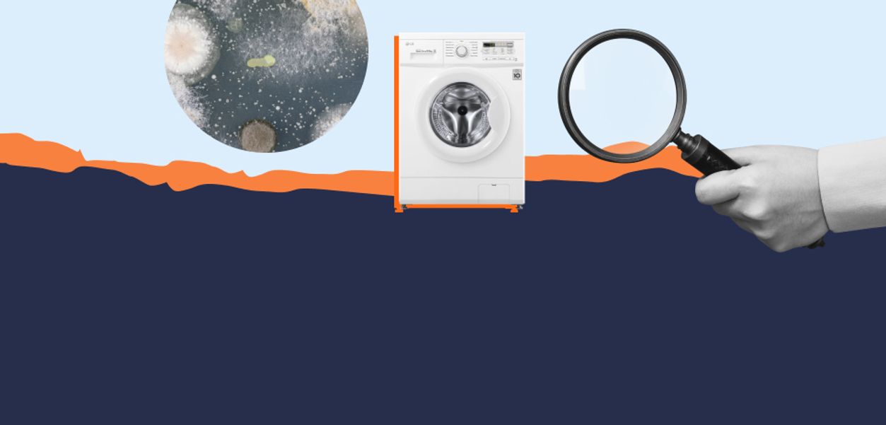 На ободке стиральной машины появилась черная грязь. Это плесень?