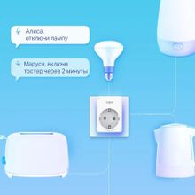 Умная розетка TP-LINK Tapo P100(1-pack) EU VDE Wi-Fi белый