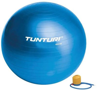 Фитбол Tunturi Gymball ф.:круглый d=65см синий/белый (14TUSFU135)