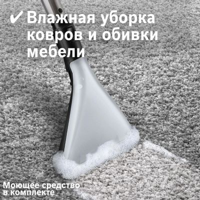 Моющий пылесос Bosch Serie 4 BWD421POW, 2100Вт, черный – купить в ...