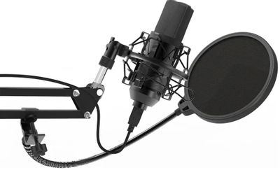 Характеристики Микрофон Ritmix RDM-169, черный [80000749] (1204293 ...
