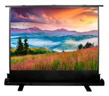 Экран Cactus FloorExpert CS-PSFLE-120X68, 120х68 см, 16:9, напольный ...