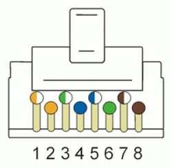 Коннектор LanMaster TWT-PL45/S-8P8C-6T FTP кат.6 RJ45 (упак.: 100шт)