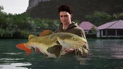 Дополнение к игре DOVETAIL Fishing Sim World: Pro Tour - Giant Carp Pack, для ПК, регион: Россия,СНГ
