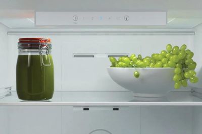 Холодильник двухкамерный Candy CCRN 6200W белый – купить в