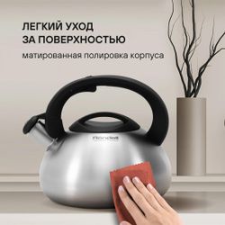 Металлический чайник Rondell RDS-088,  3л
