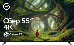 Изображение товара 55" Телевизор SBER SDX-55U5500DBB 4K Ultra HD, СМАРТ ТВ, Салют ТВ, черный