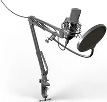 Микрофон Ritmix RDM-169,  черный
