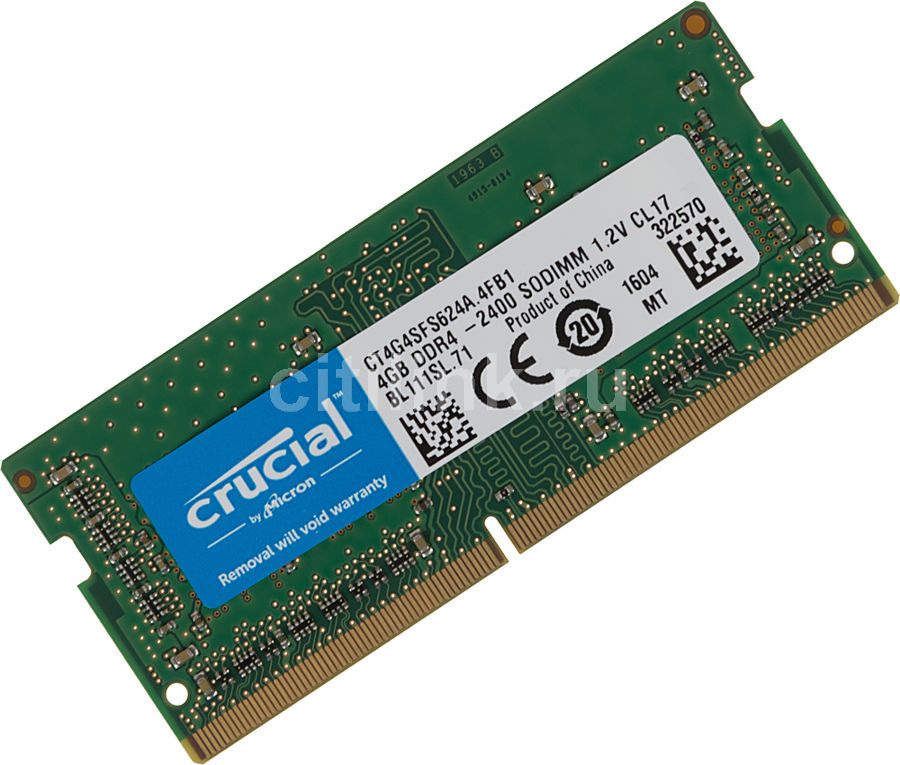 Ct4g4sfs624a new arrivals
