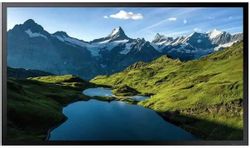 Изображение товара Панель Samsung OH55A-S 55", черный [lh55ohaosgbxci]