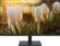 Изображение товара 27" Монитор Dahua DHI-LM27-A201H,  1920x1080,  IPS,  100Гц,  1хHDMI,  1хDP,  черный