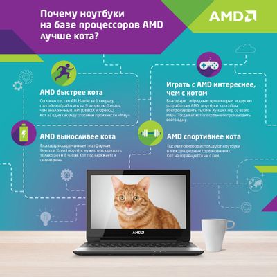 Характеристики Ноутбук HP 355 G2, 15.6", SVA, AMD A4 6210 1.8ГГц, 4 ...