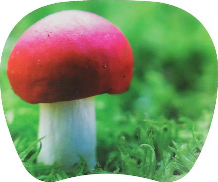 Коврик для мыши PC PET MP-TOM TURBO Mushroom MP-TMMU (S) рисунок, пластик, 210х175х1.2мм [mp-tmmu turbo (mushroom)]