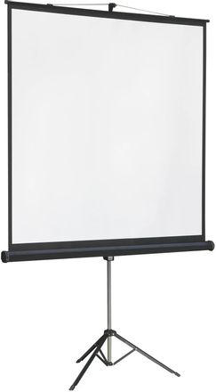 Экран Lumien Master View LMV-100105, 244х244 см, 1:1, напольный
