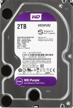 Для айпишного видеорегистратора пойдёт? - жесткий диск WD Purple ...