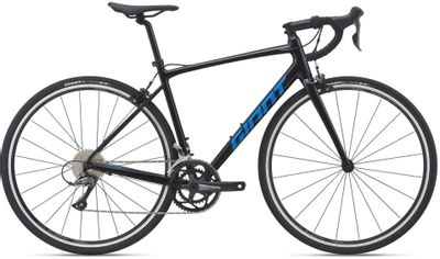 Giant contend 2 2019 store