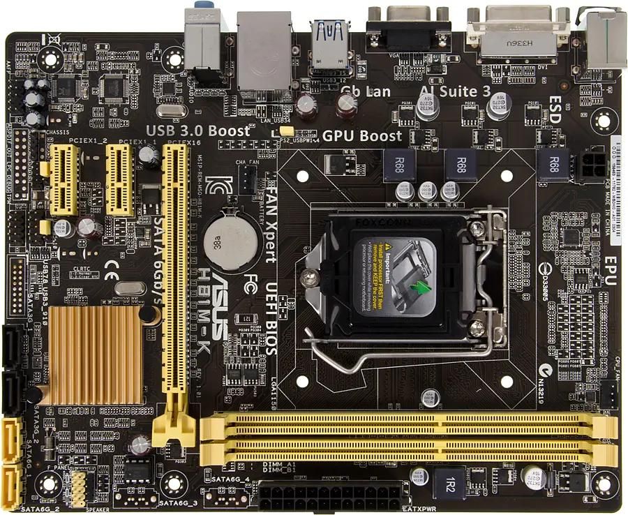 Asus h81m store