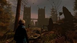 Игра FULQRUM PUBLISHING Through the Woods, для ПК, регион: Россия
