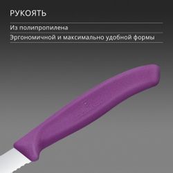 Нож кухонный Victorinox Swiss Classic, универсальный, для чистки овощей и фруктов, 80мм, заточка серрейтор, стальной, пурпурный