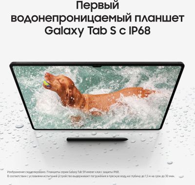 11" Планшет Samsung Galaxy Tab S9 SM-X716B 12/256 GB 8 Gen 2 5G, 2560 x ...
