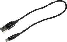 Изображение товара Кабель micro USB - USB 2DK25S, 0. 3 м, оплетка, черный, TTEC