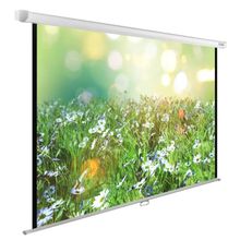 Экран Cactus WallExpert CS-PSWE-200x200-WT, 200х200 см, 1:1, настенно ...