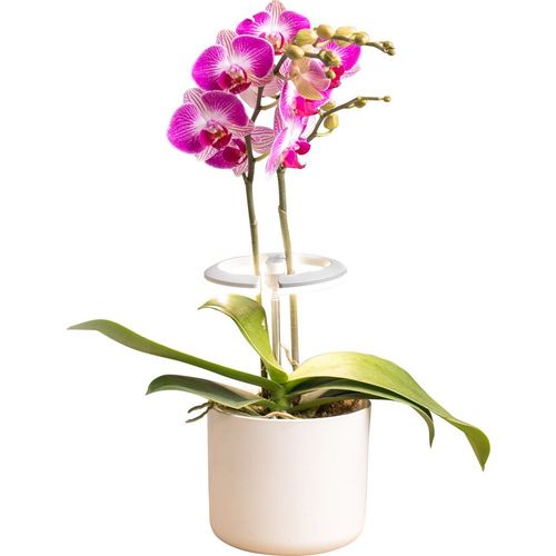 Светильник для растений Cactus Garden, 7.5Вт, белый [cs-led-orchid]