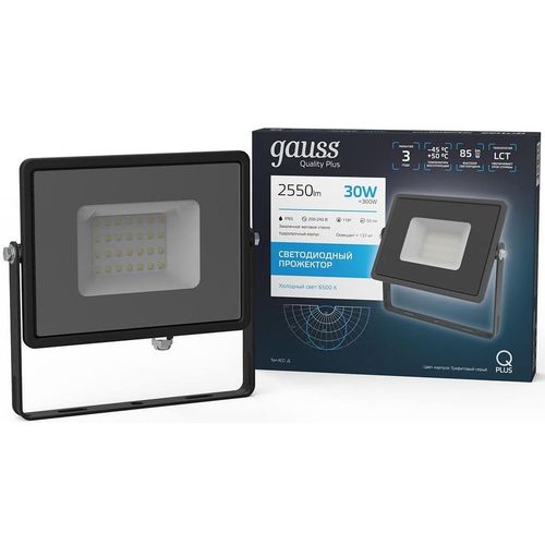 Прожектор уличный GAUSS 690511330, 30Вт