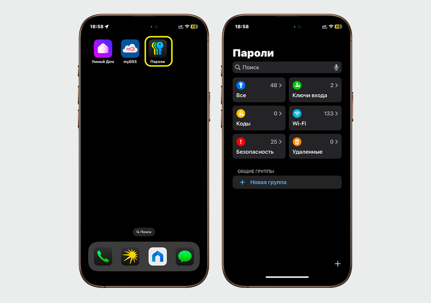 В iOS 18 появилось новое приложение «Пароли»