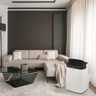 Кондиционер мобильный Ballu Smart Wind BPAC-09 SW/N1 белый – купить в ...