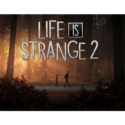 Игра SQUARE ENIX Life is Strange 2 - Episode 1, для ПК, регион: Россия, RUS (интерфейс и субтитры)