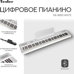Цифровое фортепиано TESLER KB-8855, белый
