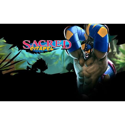 Игра KOCH MEDIA Sacred Citadel, для ПК, регион: Россия,СНГ, RUS (интерфейс и субтитры)