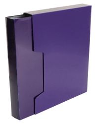 Папка Бюрократ ДеЛюкс DLVBOX100BBERRY, 100шт вкладышей, A4, пластик, 0.7мм, черничный