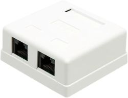 Розетка Lanmaster (TWT-SM2-4545-WH) RJ45 2 кат.5E бел. (упак.:1шт)