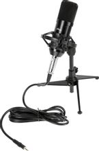 Микрофон Ritmix RDM-160,  черный