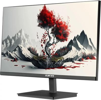 23.8" Монитор RDW COMPUTERS 2401K, "R", 1920x1080, IPS, 100Гц, 1хHDMI ...