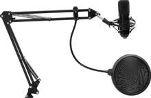 Микрофон Ritmix RDM-169,  черный