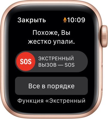 Apple Watch SE 2021 40 mkq03ru a 1603066