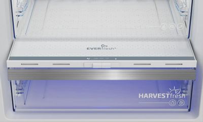 Холодильник двухкамерный Beko B5RCNK403ZWB Total No Frost, инверторный ...